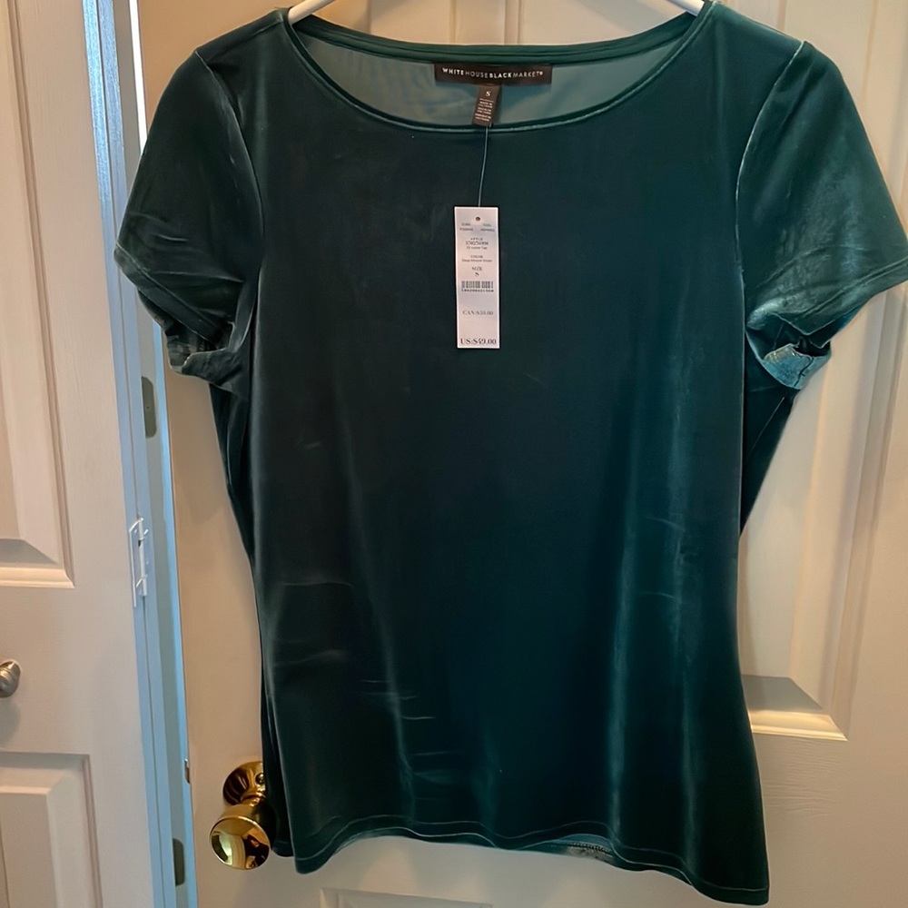 WHBM Velvet Mineral Green Top